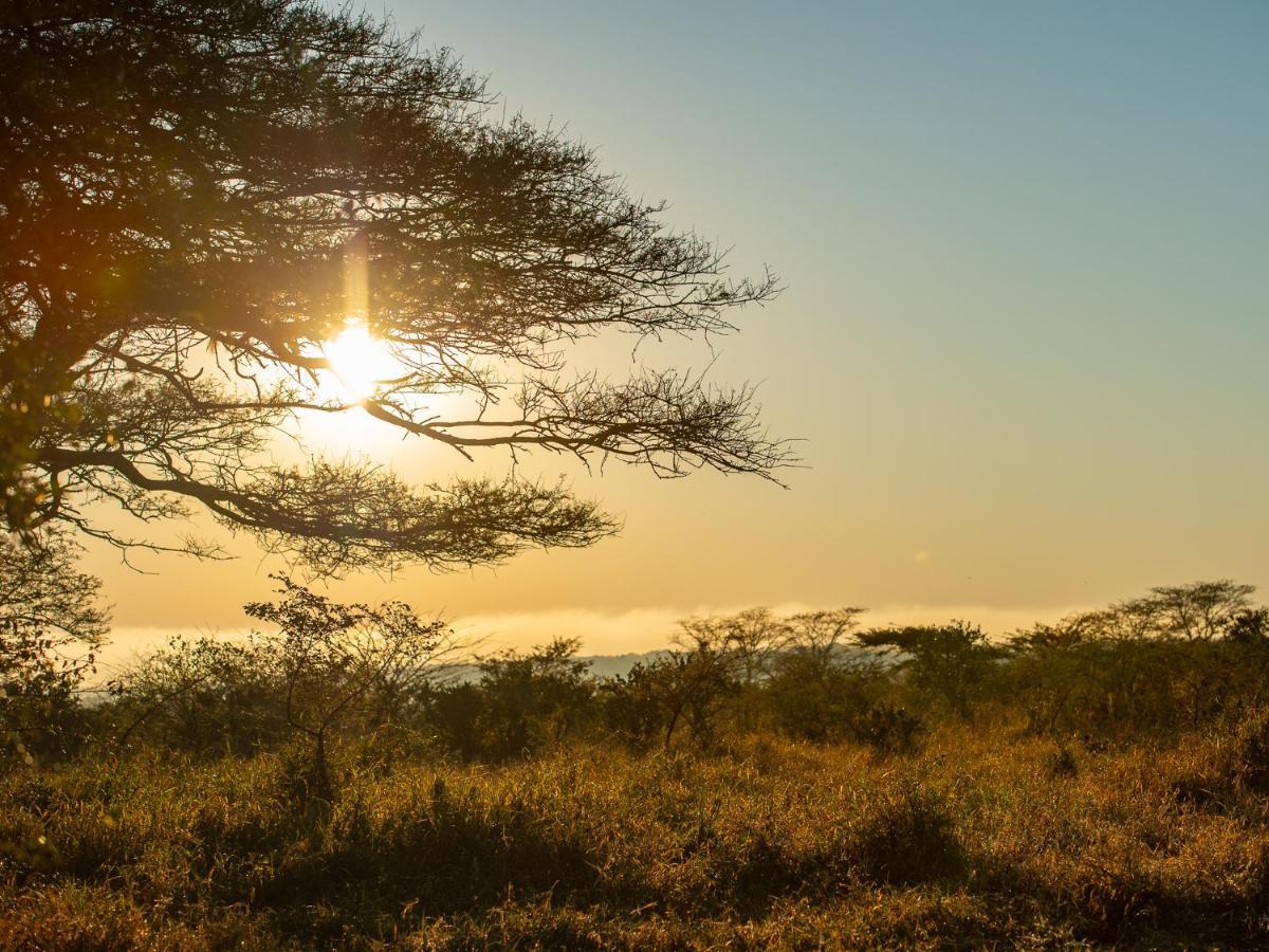 Zululand Lodge Hluhluwe Exteriör bild