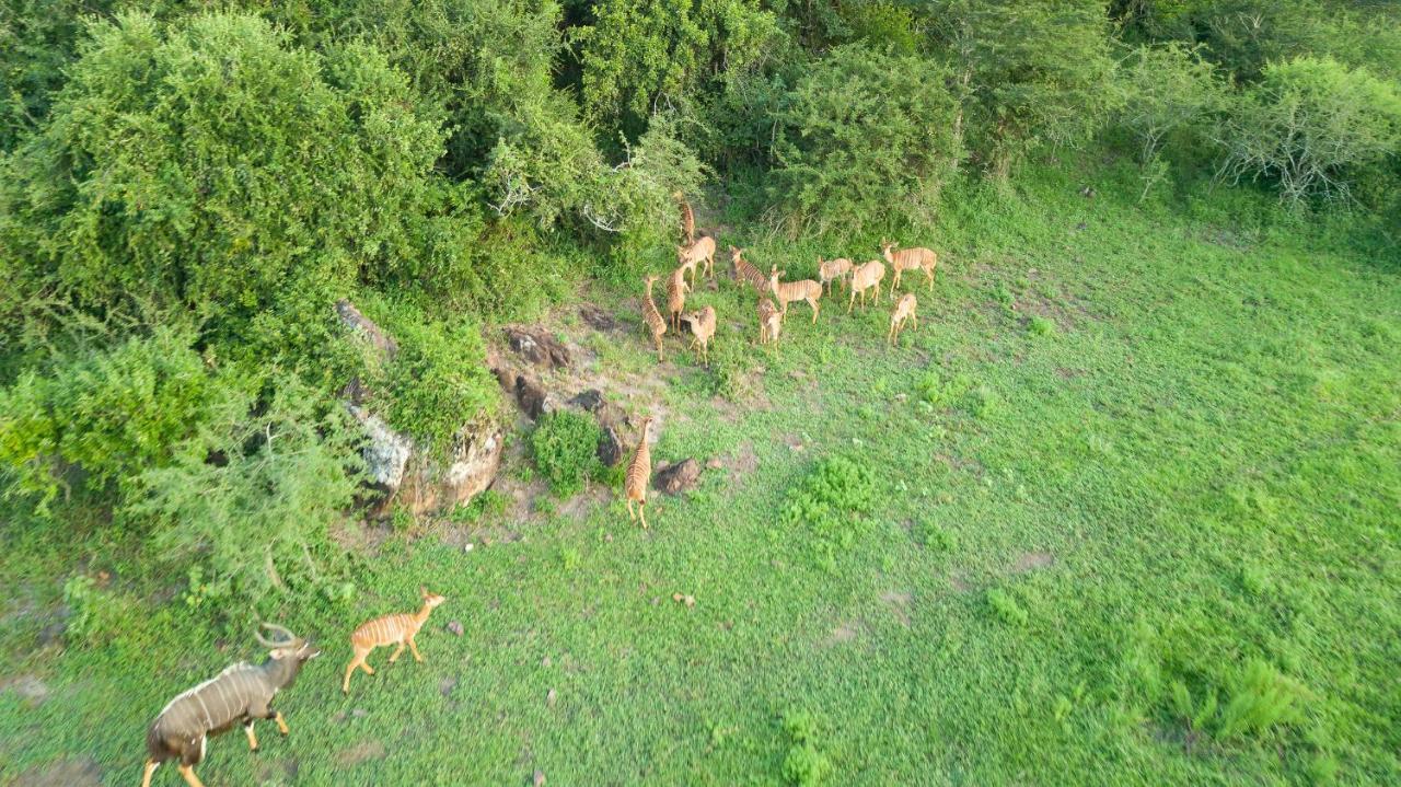 Zululand Lodge Hluhluwe Exteriör bild