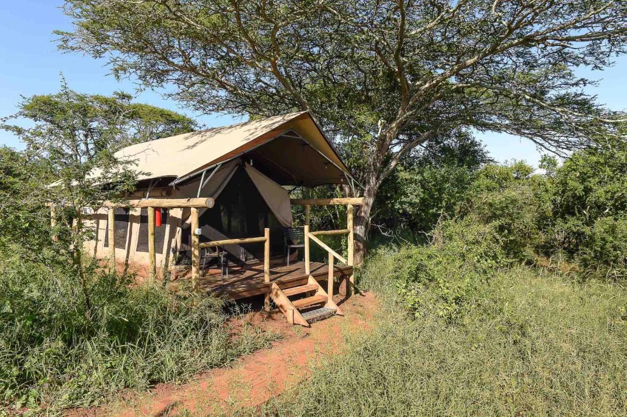 Zululand Lodge Hluhluwe Exteriör bild